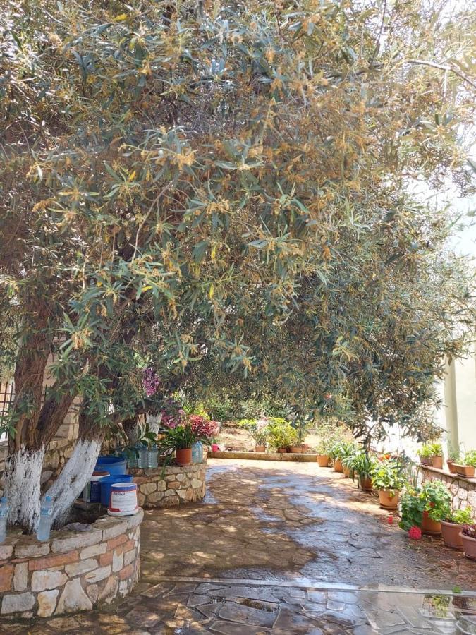 Vila Rexhaj Ksamil Extérieur photo